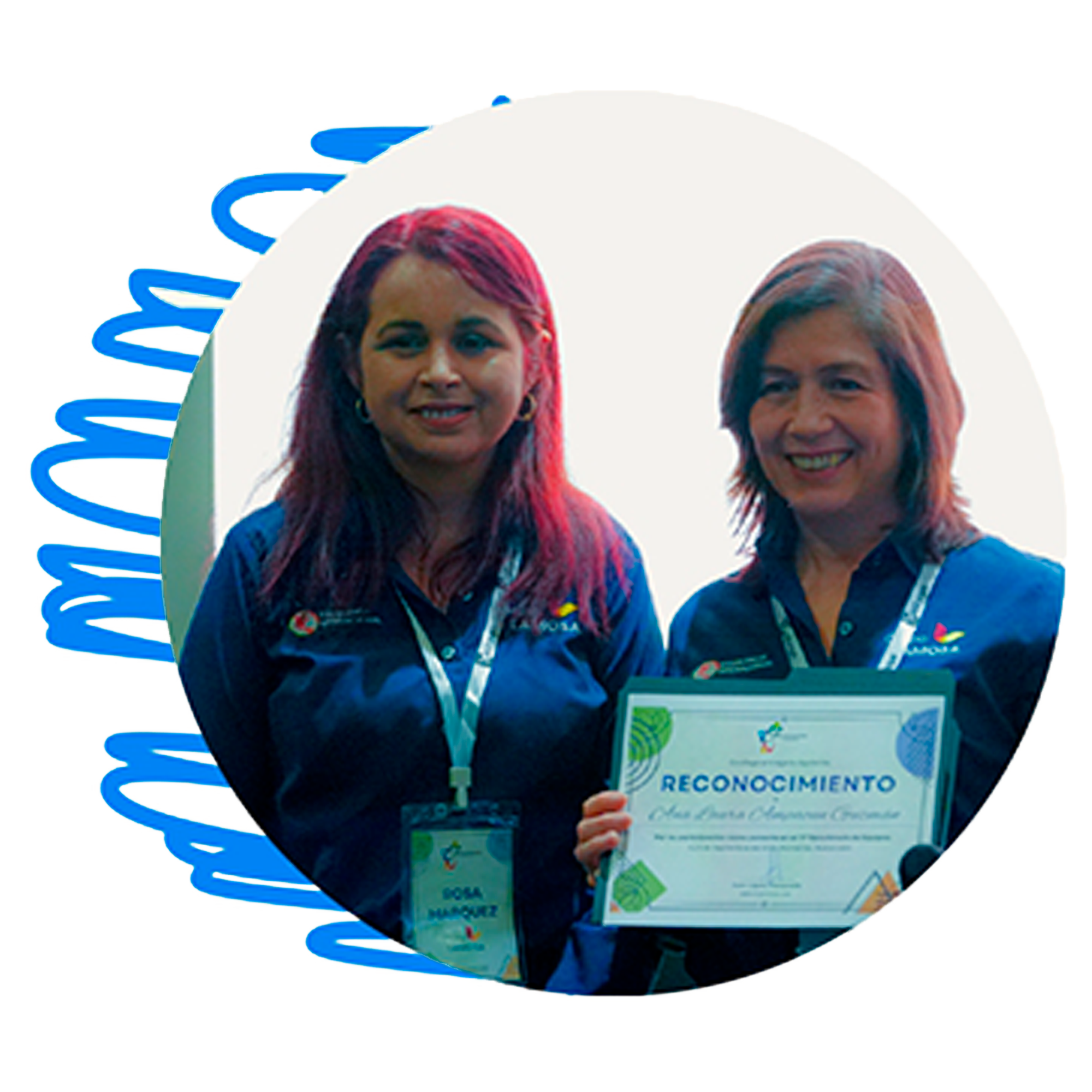 Casos organizacionales